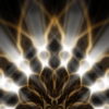 Stage-Gold-Visual-Rays-radial-structured-flower-VJ-Loop-wlextf-1920_006 VJ Loops Farm