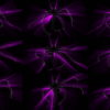 Black-Psy-Octopus-with-Pink-Violet-Rays-Full-HD-VJ-Loop-jhvwdu VJ Loops Farm