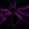 Black-Psy-Octopus-with-Pink-Violet-Rays-Full-HD-VJ-Loop-jhvwdu_004 VJ Loops Farm