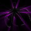 Black-Psy-Octopus-with-Pink-Violet-Rays-Full-HD-VJ-Loop-jhvwdu_006 VJ Loops Farm