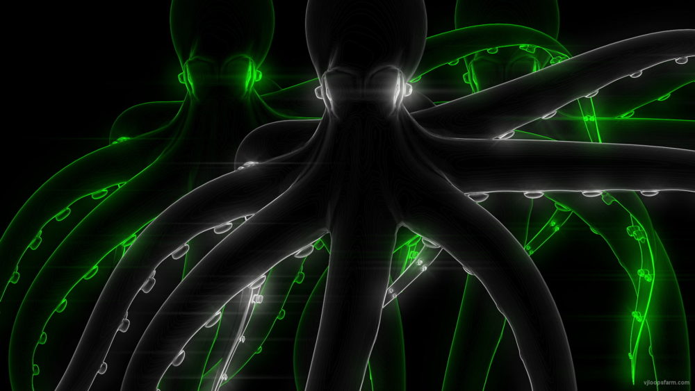 Black-luxury-octopus-team-in-green-Full-HD-VJ-Loop-cmtaea_007 VJ Loops Farm