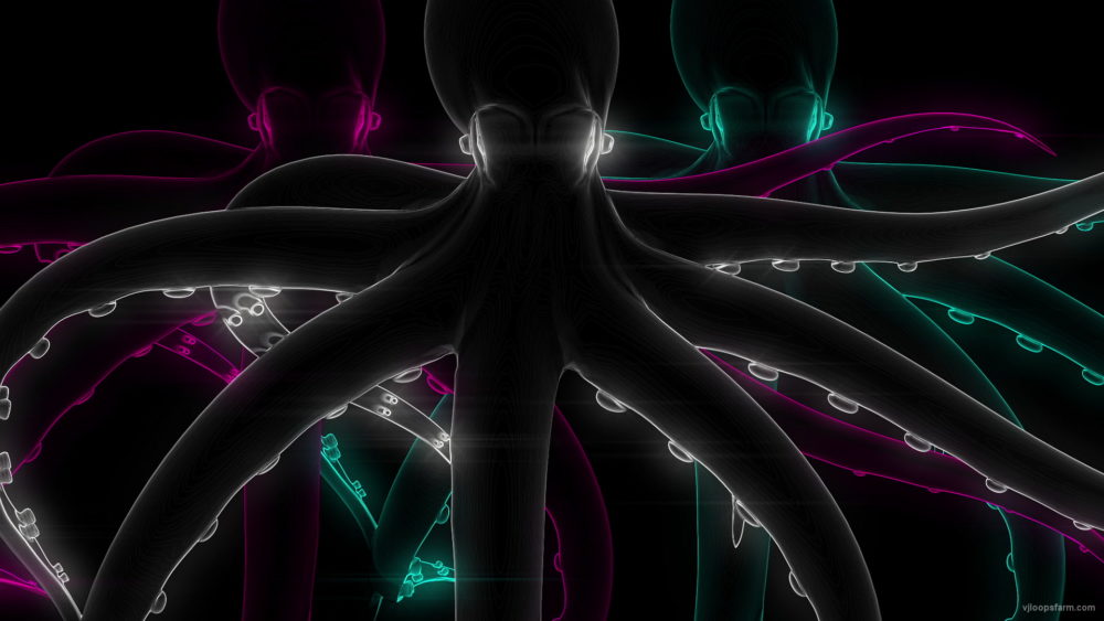 Black-luxury-octopus-team-in-neon-Full-HD-VJ-Loop-ahjyx6_004 VJ Loops Farm