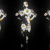 Fire-Man-in-Flowers-Romashka-Camila-Trio-on-Black-Ultra-HD-Video-Art-Video-VJ-Loop-8dhpbm-1920_009 VJ Loops Farm