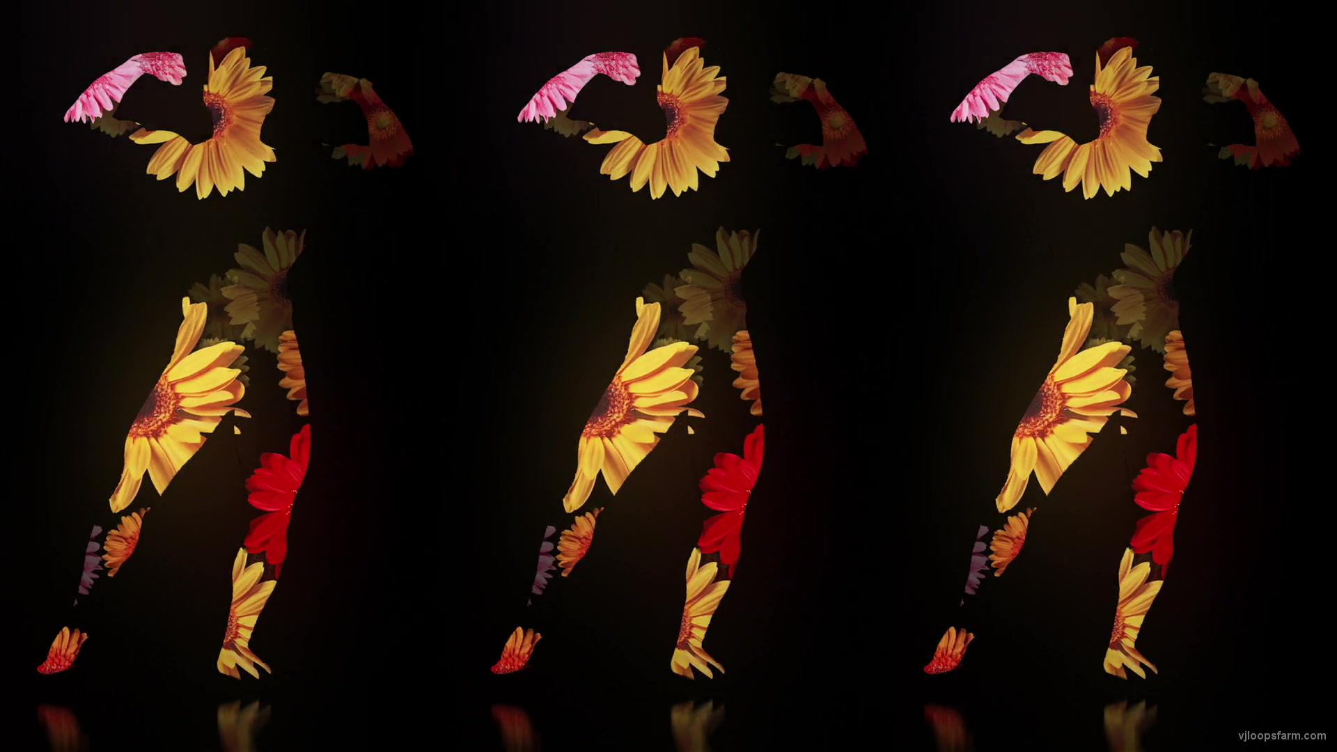 Fire Man in Flowers Trio on Black Ultra HD Video Art Video VJ Loop