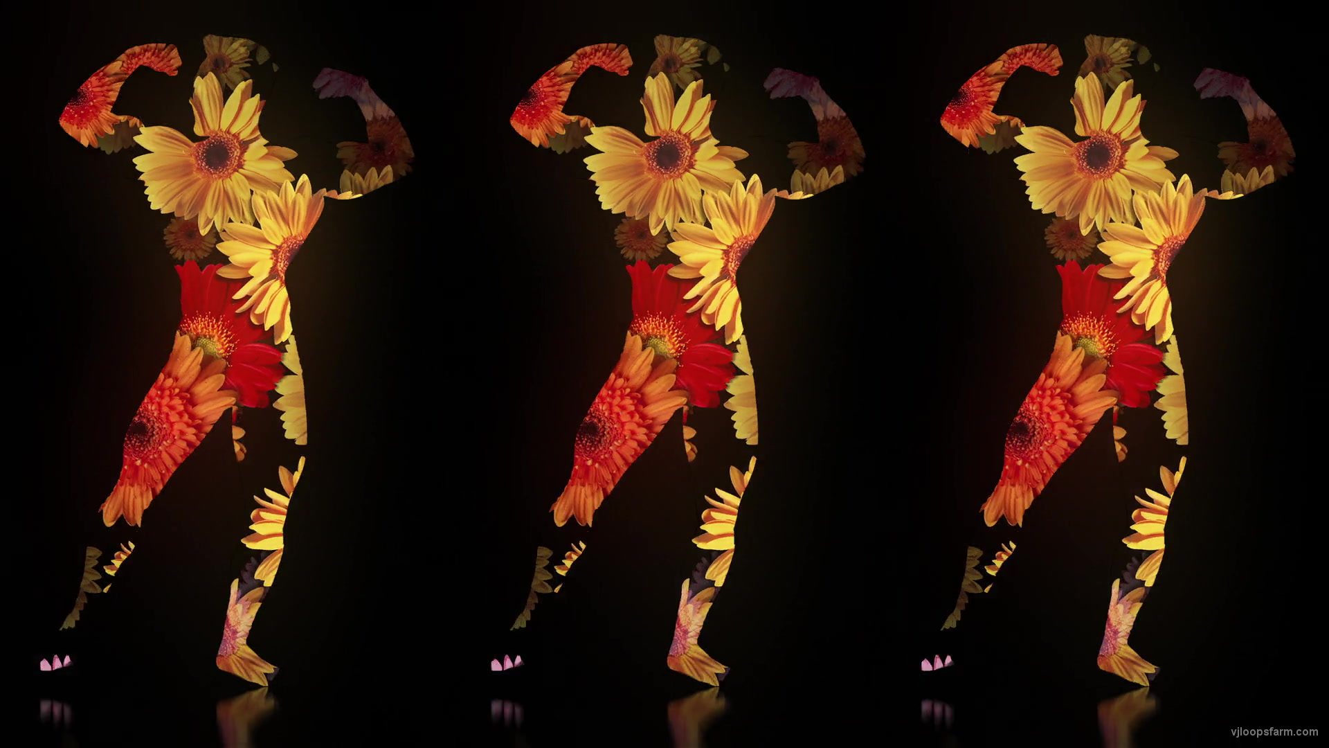 Fire Man in Flowers Trio on Black Ultra HD Video Art Video VJ Loop