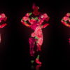 Fire-Man-in-Rose-Fall-Trio-on-Black-Ultra-HD-Video-Art-Video-VJ-Loop-thltsm-1920_001 VJ Loops Farm
