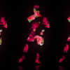 Fire-Man-in-Rose-Fall-Trio-on-Black-Ultra-HD-Video-Art-Video-VJ-Loop-thltsm-1920_002 VJ Loops Farm