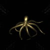 Golden-Octopus-in-White-Rays-abstract-video-art-VJ-Loop-pjlxgd-1920_007 VJ Loops Farm