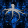 PSY-Octopus-gray-flow-on-blue-background-FullHD-VJ-Loop-nh81y8_002 VJ Loops Farm