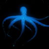 PSY-Octopus-with-strobing-effect-flow-on-motion-background-FullHD-VJ-Loop-qiael7_002 VJ Loops Farm