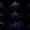 PSY-Octopus-with-strobing-lightning-rays-on-motion-background-FullHD-VJ-Loop-y5uunl VJ Loops Farm