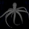 PSY-Octopus-with-strobing-lightning-rays-on-motion-background-FullHD-VJ-Loop-y5uunl_002 VJ Loops Farm