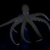 PSY-Octopus-with-strobing-lightning-rays-on-motion-background-FullHD-VJ-Loop-y5uunl_006 VJ Loops Farm