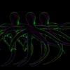 Psy-Shake-Octopus-strobing-with-Lightning-Full-HD-VJ-Loop-5qbgpd_007 VJ Loops Farm