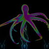 Psy-Vivid-Octopus-strobing-with-Lightning-Full-HD-VJ-Loop-eo5wmi_006 VJ Loops Farm