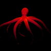 Psychedelic-Red-Octopus-waving-on-strobing-background-Full-HD-VJ-Loop-8oaopw_004 VJ Loops Farm