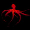 Psychedelic-Red-Octopus-waving-on-strobing-background-Full-HD-VJ-Loop-8oaopw_005 VJ Loops Farm