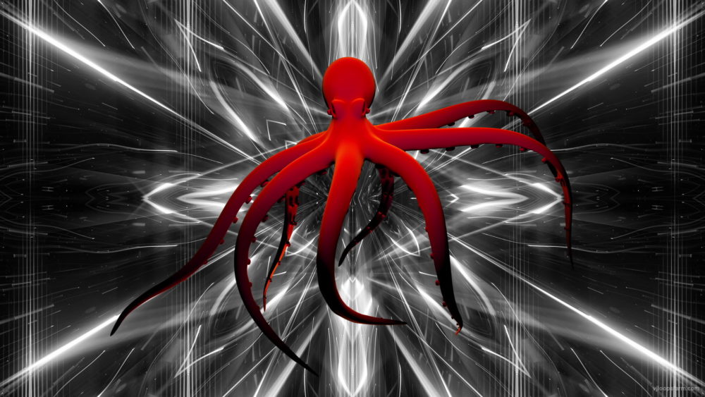 Psychedelic-Red-Octopus-waving-on-strobing-background-Full-HD-VJ-Loop-8oaopw_006 VJ Loops Farm