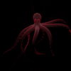 vj video background Psychedelic-Red-Octopus-with-lightning-edges-video-art-Full-HD-VJ-Loop-4mdxas_003