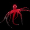 vj video background Psychedelic-Red-Octopus-with-lightning-on-strobing-background-Full-HD-VJ-Loop-vau6v4_003