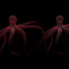 vj video background Psychedelic-double-bodyguards-Red-Octopus-with-lightning-video-art-Full-HD-VJ-Loop-wudftg_003