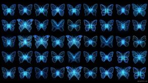 vj video background Cyberpunk-Butterfly-Classic-Neon-Pattern-Random-UltraHD-Video-Motion-Background-VJ-Loop-xi0cmn-1920_003