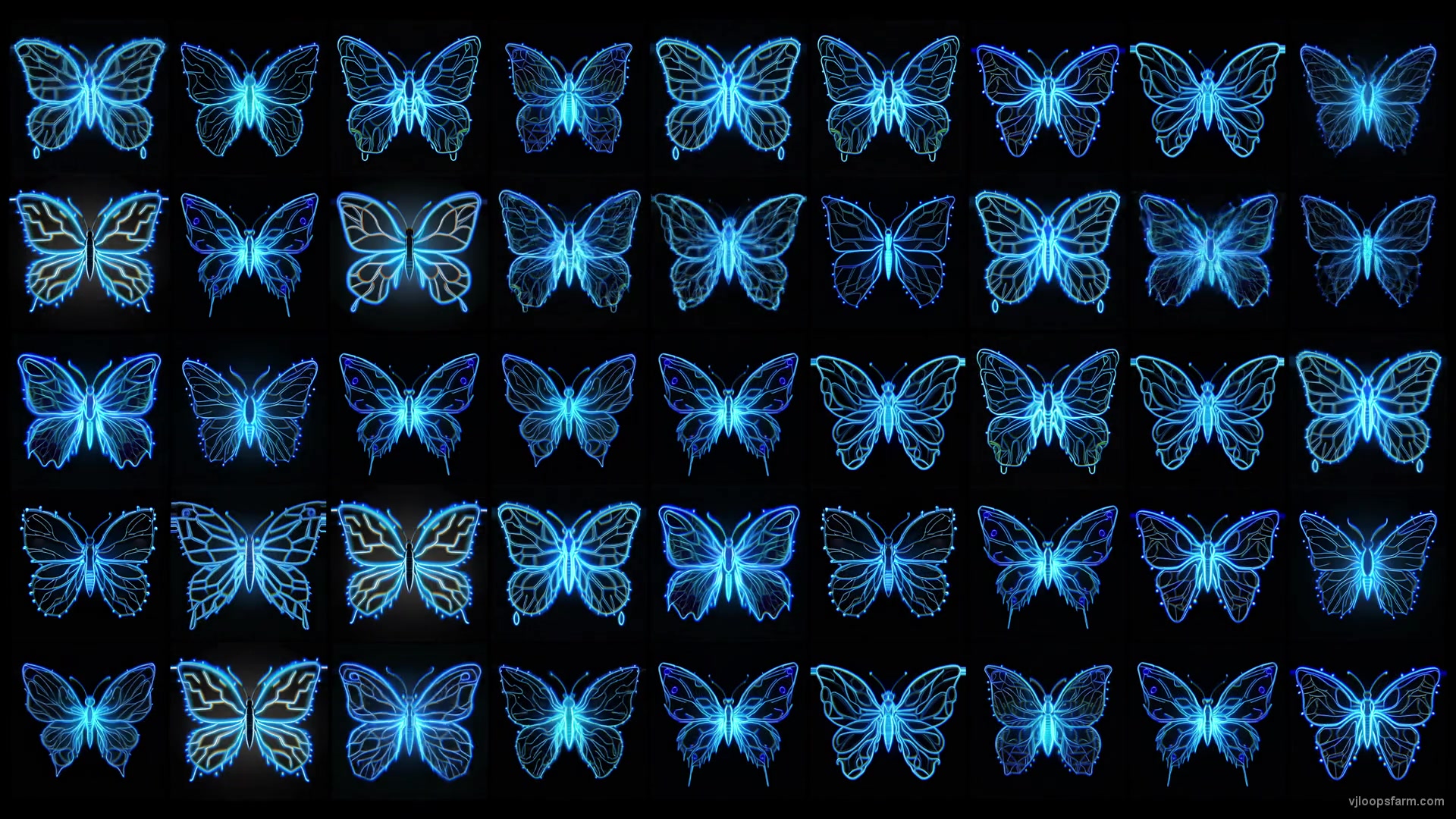Cyberpunk Butterfly Classic Neon Pattern Random Video Motion Background