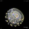 Chaos-spore-points-lines-structure-Fulldome-4K-Vj-Loop-eo2dhz-1920_006 VJ Loops Farm