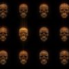 Expensive-Orange-Halloween-Skulls-Pattern-VJ-Loop-Z17-x0efzy-1920_009 VJ Loops Farm