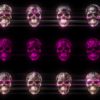 Glamour-Pink-Pattern-Halloween-Skulls-VJ-Loop-Z33-d00uh6-1920_001 VJ Loops Farm