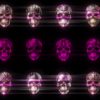 Glamour-Pink-Pattern-Halloween-Skulls-VJ-Loop-Z33-d00uh6-1920_002 VJ Loops Farm