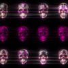 Glamour-Pink-Pattern-Halloween-Skulls-VJ-Loop-Z33-d00uh6-1920_004 VJ Loops Farm