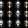 Gothic-Baroque-Halloween-Skulls-Pattern-VJ-Loop-Z11-rgqz0j-1920_007 VJ Loops Farm