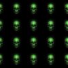 Green-Pattern-Halloween-Skulls-Pattern-VJ-Loop-Z1-di2s7n-1920_006 VJ Loops Farm