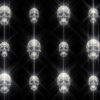 Luxury-Vintage-Halloween-Skulls-Pattern-VJ-Loop-Z26-fytaoo-1920_002 VJ Loops Farm