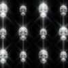 Luxury-Vintage-Halloween-Skulls-Pattern-VJ-Loop-Z26-fytaoo-1920_005 VJ Loops Farm