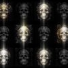 Rococo-Halloween-Skulls-Video-Wallpaper-Pattern-VJ-Loop-Z9-l5bq5u-1920_001 VJ Loops Farm