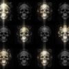 Rococo-Halloween-Skulls-Video-Wallpaper-Pattern-VJ-Loop-Z9-l5bq5u-1920_002 VJ Loops Farm