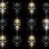 Rococo-Halloween-Skulls-Video-Wallpaper-Pattern-VJ-Loop-Z9-l5bq5u-1920_004 VJ Loops Farm