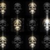 Rococo-Halloween-Skulls-Video-Wallpaper-Pattern-VJ-Loop-Z9-l5bq5u-1920_005 VJ Loops Farm